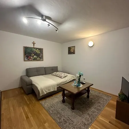 Apartment Boric Vantacici